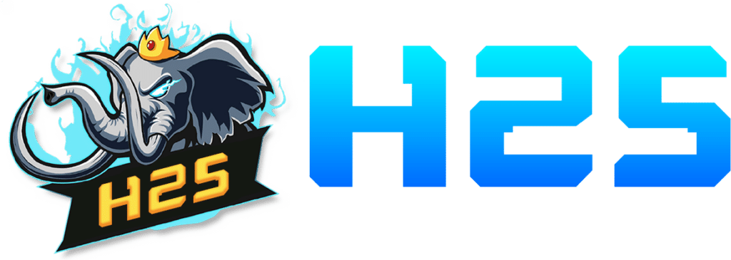 h25